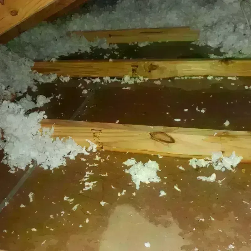 Attic Water Damage in Jasper County, IL