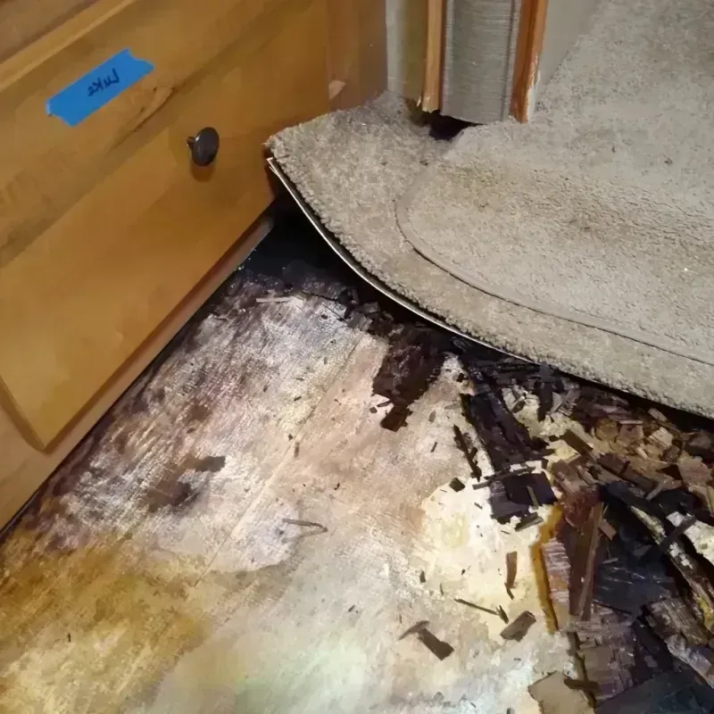 Wood Floor Water Damage in Jasper County, IL